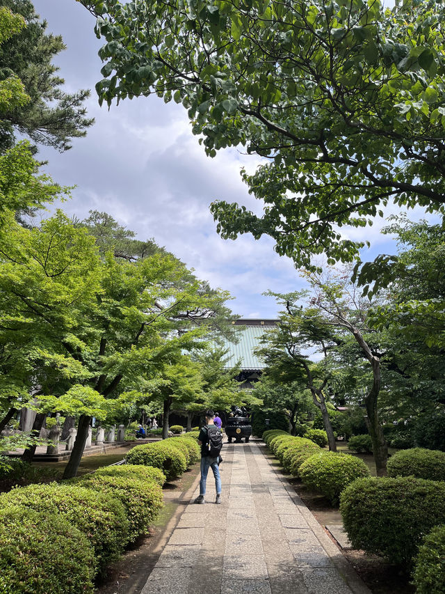 豪德寺(招福貓)一遊