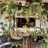 Retreat with nature of paddy fields cafe 