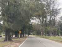 เที่ยวหาดวาสุกรี สายบุรี