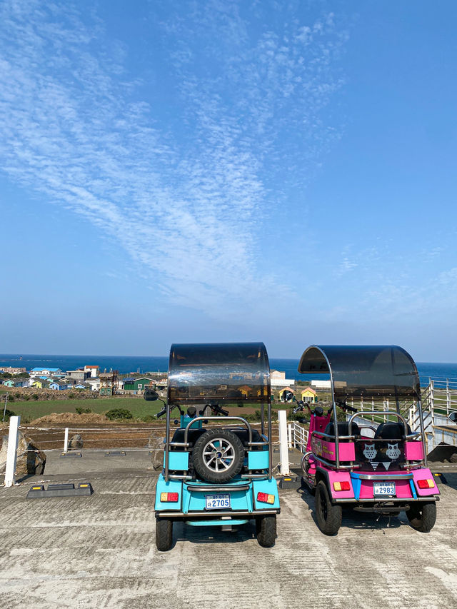 Half Day Island Tour in Udo, Jeju Island 