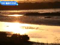 台南賞夕陽的秘境步道-安平湖濱水鳥公園