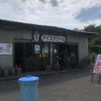 【大分/九重】絶品濃厚デザート
