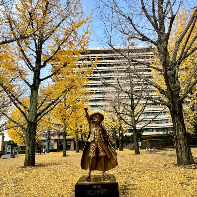 ONE PIECE in KUMAMOTO🍁🍂