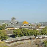 Autumn Splendor at Kumamoto Castle🏯🍂🍁