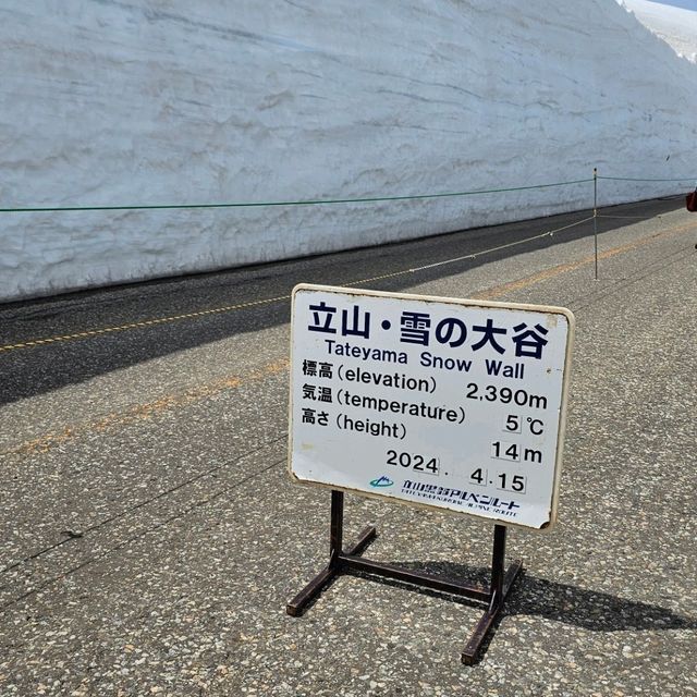 室堂雪之大谷，壯麗雪牆奇景。