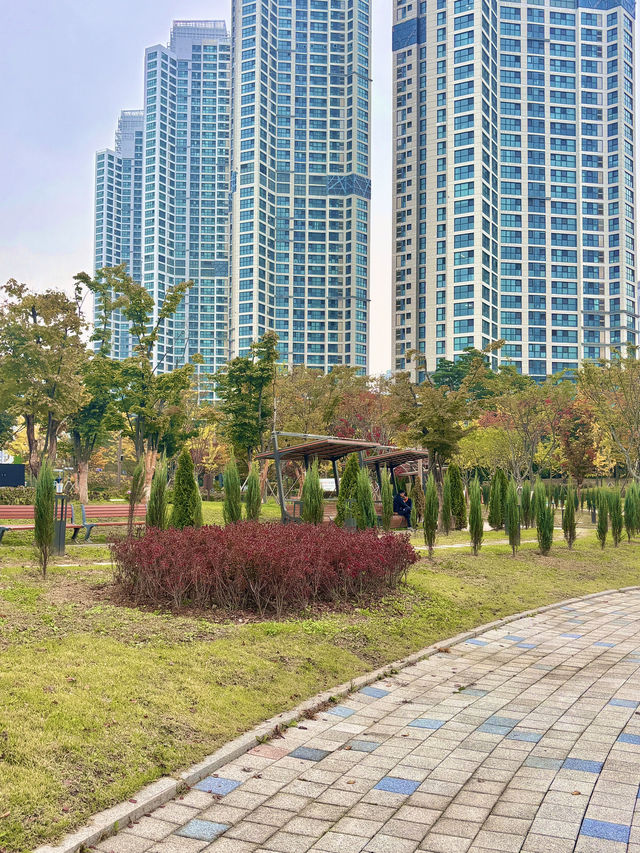 매일 산책하고 싶은 장소인 청라호수공원🌳💚