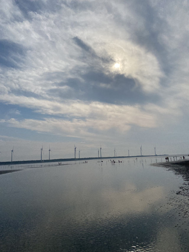 《高美濕地》：簡單又夢幻的自然生態