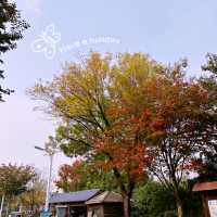 ฤดูใบไม้เปลี่ยนสีที่ 郑州园博园 !! 