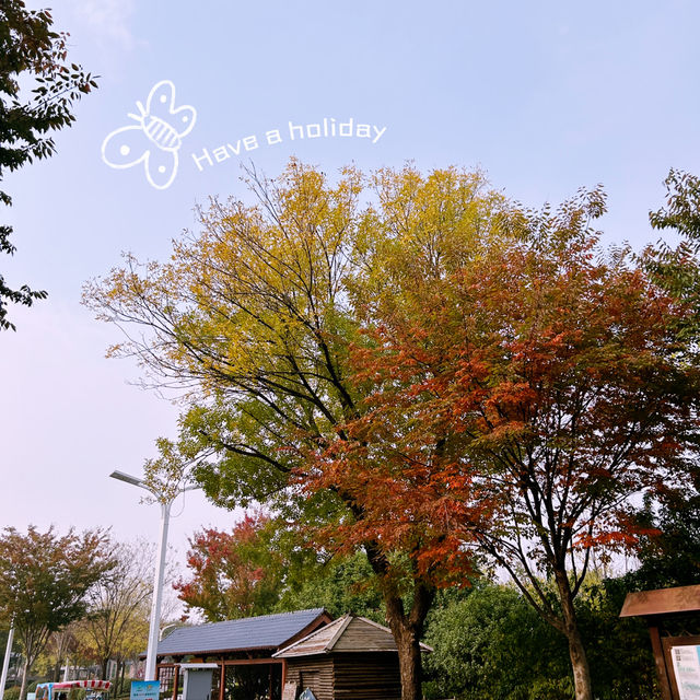 ฤดูใบไม้เปลี่ยนสีที่ 郑州园博园 !! 