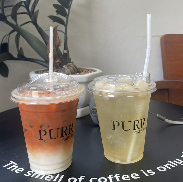 Purr.Bkk 🥤✨