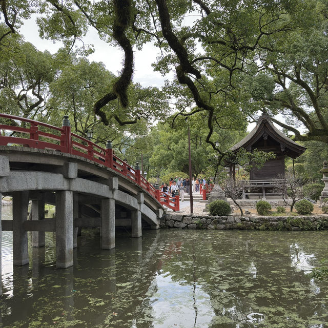 Nature’s Beauty and History: My Stunning Visit to Dazaifu Tenmangu!