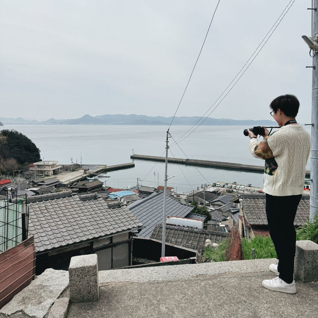 尋找貓的蹤影 - 四國男木島