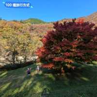 日本秋田-郊遊踏青的好去處：抱返溪谷