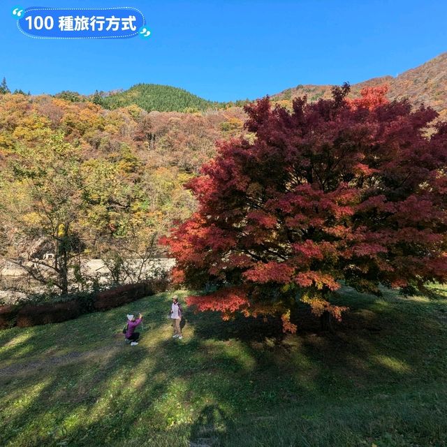 日本秋田-郊遊踏青的好去處：抱返溪谷