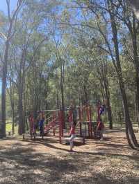 호주 브리즈번의 Forgan Picnic Area!