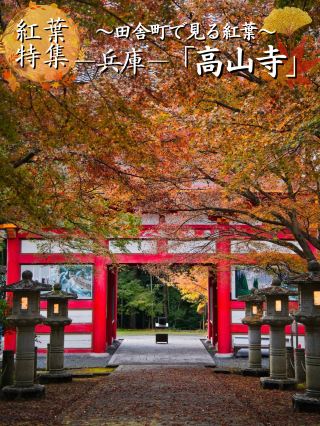 [Go here] I don't really want to tell you about this long path covered in maple leaves. *Free walkthrough included