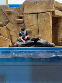 XPark Aquarium ใกล้สนามบินเถาหยวน ไต้หวัน