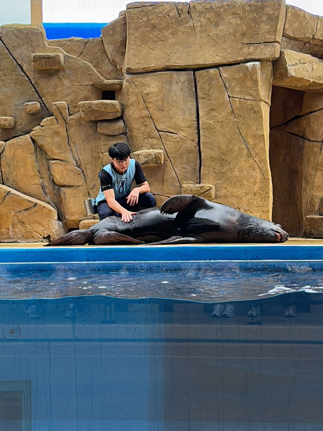 XPark Aquarium ใกล้สนามบินเถาหยวน ไต้หวัน