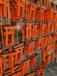 ⛩️SHRINE-ing in Kyoto | Fushimi Inari Taisha 🇯🇵 