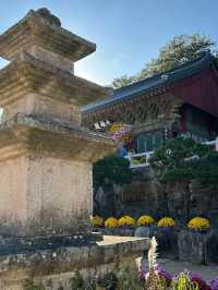  Beomeosa Temple: A Tranquil Escape in Busan