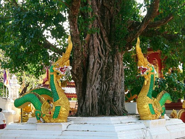 พาคุณพ่อมาไหว้พระทำบุญ..วัดพระสิงห์