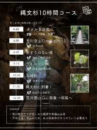 【屋久島】縄文杉を見にいくトレッキングツアーに参加した時の記録