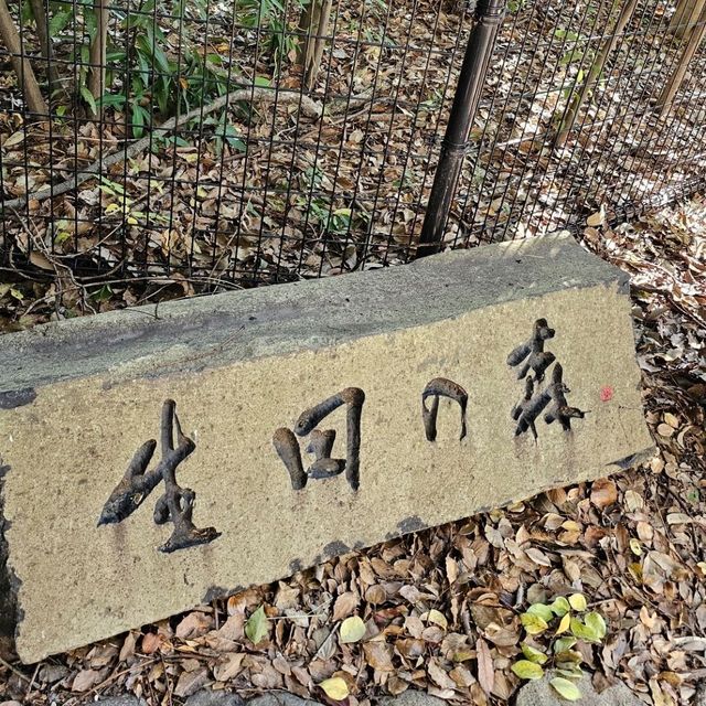 神戶市中心的靜謐綠洲〔生田之森〕
