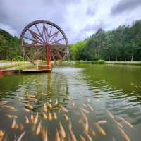 Tranquil Escape to Gaharu Tea Valley in Gopeng