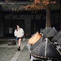 Wuzhen Water Town