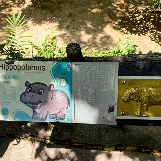 รีวิวการไปเที่ยวน้องหมูเด้ง ฉบับคนไม่มีรถ
