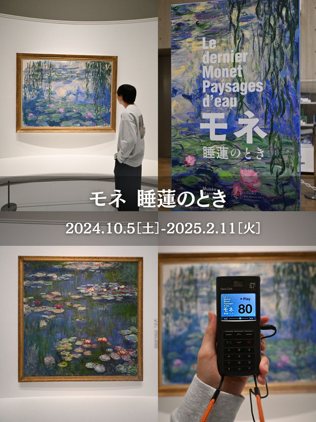 【保存必須！！】年末年始におすすめ！12月に見られる展覧会8選🙌✨
