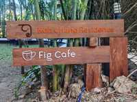 Fig cafe
