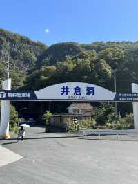 🇯🇵岡山｜遊岡山縣森林藝術祭