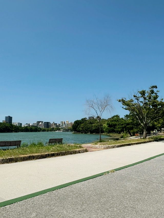 후쿠오카의 심장, 오호리공원을 다녀왔어요! 🌳✨