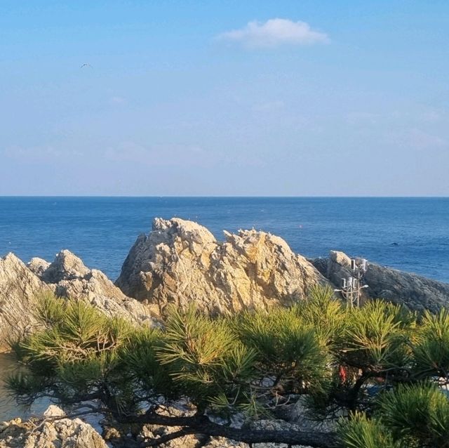삼척 겨울여행은 여기!