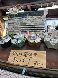 🇯🇵漫遊倉敷美觀地區