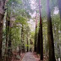 震撼心靈的熊野古道與那智瀑布