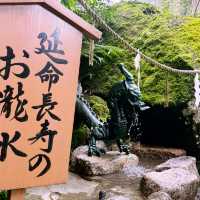 震撼心靈的熊野古道與那智瀑布