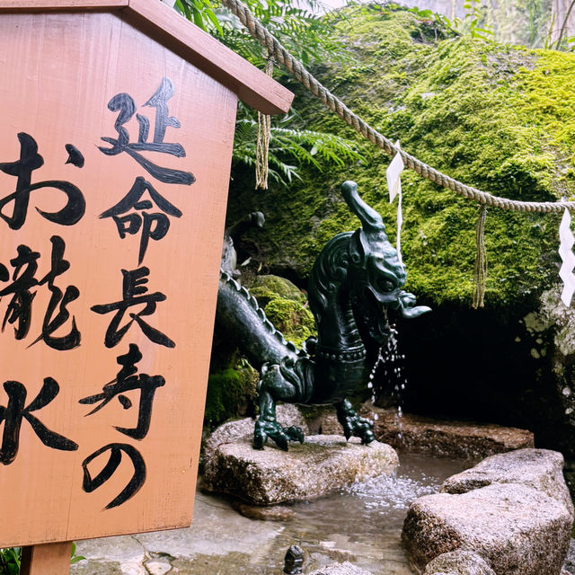 震撼心靈的熊野古道與那智瀑布