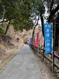 【栃木】猫好きさんには行ってほしい‎🤍御朱印がとても素敵な神社⛩✨