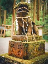茨城のパワースポット⛩御岩神社