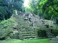 【グアテマラ】古代マヤ遺跡最大級の世界遺産「ティカル遺跡」