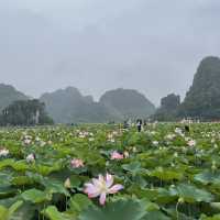Hanoi Delights: Sights, Bites, and Nights