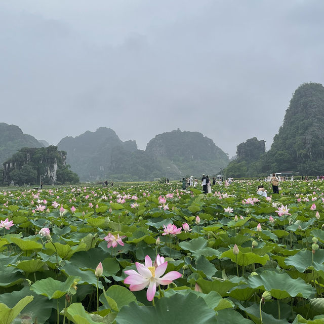 Hanoi Delights: Sights, Bites, and Nights