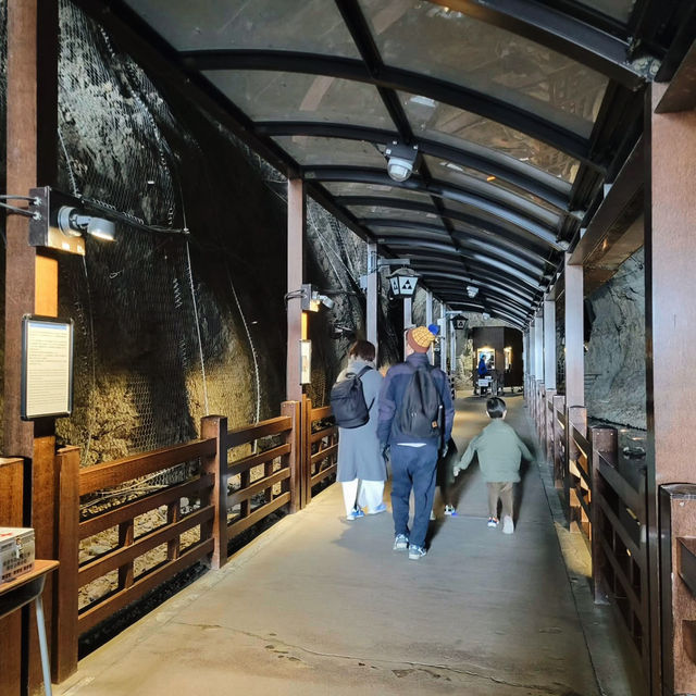 Enoshima Iwaya Cave 