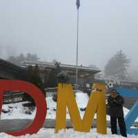DMZ - A 71 years of reunification dream