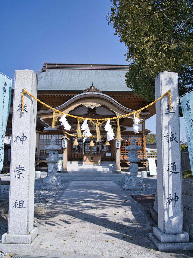 【山口】巳年だからこそ行きたい✨金運・商売繁盛・健康長寿を呼ぶシロヘビがモチーフの神社🐍