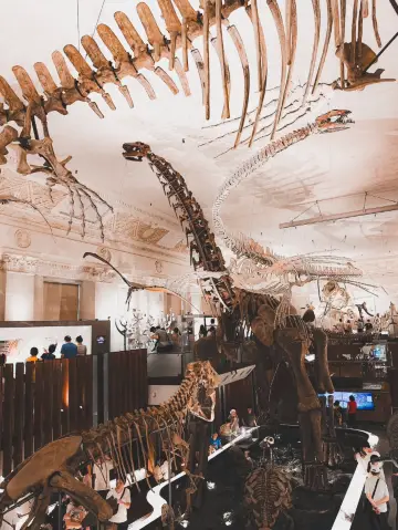 台灣博物館｜穿越時光！帶你探索古生物的神秘世界！