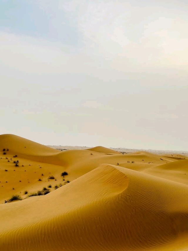 🏜️ Thrills & Serenity: Abu Dhabi Grand Safari with Family 🌅