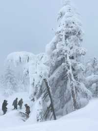 【宮城×冬の旅】  雪が生き物のよう！自然の芸術品  アイスモンスター
